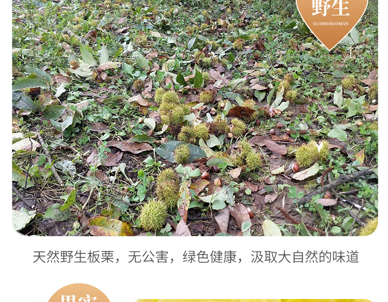 广西旅游特产推荐-桂西北甜栗